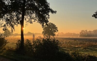 Fantastischen Sonnenaufgängen!